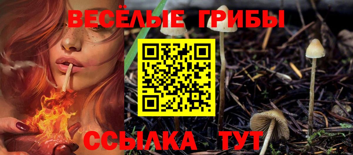 Галлюциногенные грибы мицелий Коряжма