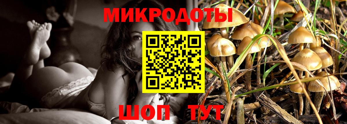 Галлюциногенные грибы Magic Shrooms  Галлюциногенные грибы Psilocybe  Вход с VPN  Коряжма 